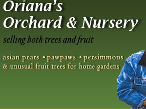 Oriana's Orchard and Nursery selling both trees and fruit